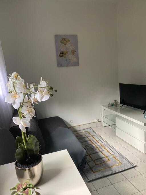 Appartement Cosy 15 Min D'Orly Longjumeau Exteriör bild